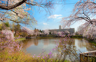 韩国国立首尔科学技术大学