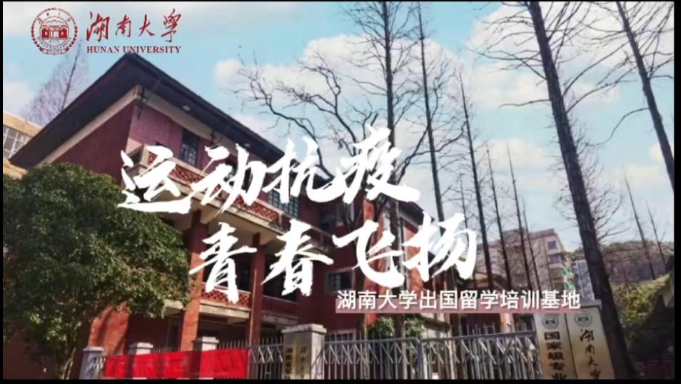 战“云端”，保教学！这群师生很可爱！