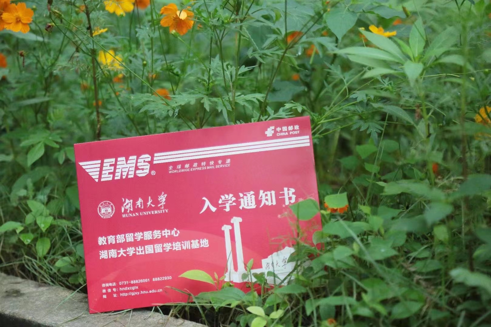 湖南大学出国留学本科教育招生确认、面笔试工作顺利进行， 入学通知书开始发放